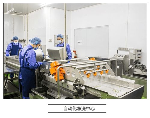 直击工厂溯源 咚吃保证食品安全性