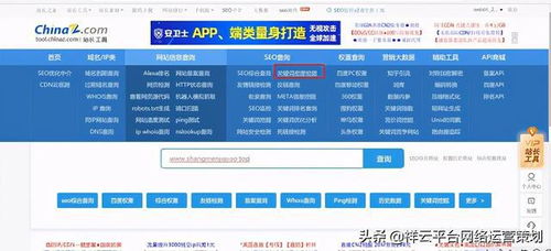 做好这些网站优化技巧,小白也能运营创收盈利