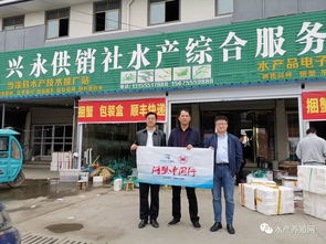 花20万买商标,1年网上卖蟹1000万,从湖阳贡蟹到一对活宝,看这对父子兵如何玩转河蟹养殖的致富经 螃蟹