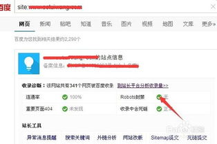 站长工具平台使用方法
