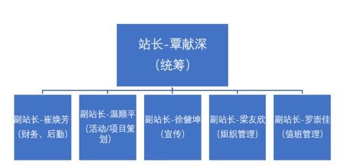 志愿v站 独立站 站长团换届公示