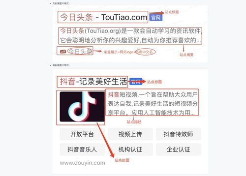 头条搜索站长平台开放站点属性与站点子链