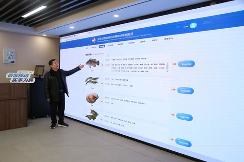 从数字水产看一条鱼的“前世今生” 站长视角的产业链探秘